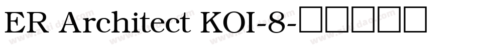 ER Architect KOI-8字体转换